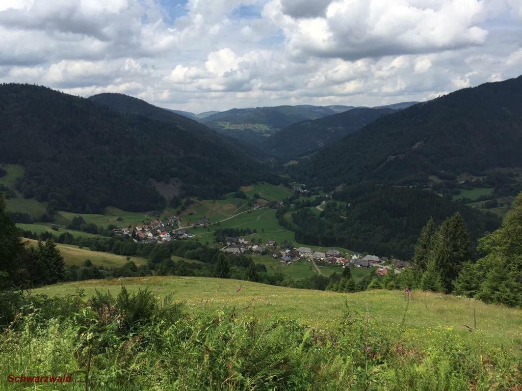 Ferienwohnung Schwarz Todtmoos Exteriör bild