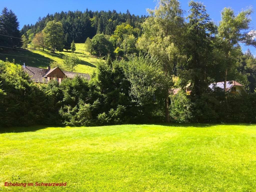 Ferienwohnung Schwarz Todtmoos Exteriör bild