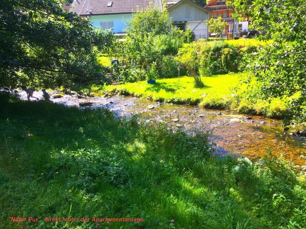 Ferienwohnung Schwarz Todtmoos Exteriör bild