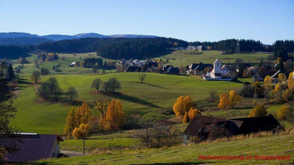 Ferienwohnung Schwarz Todtmoos Exteriör bild